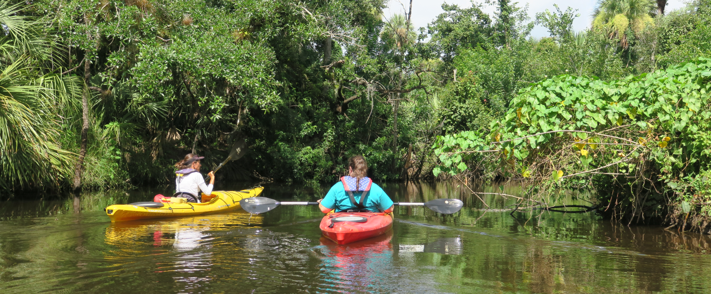 Two kayakers paddling down a calm brush-lined river. 